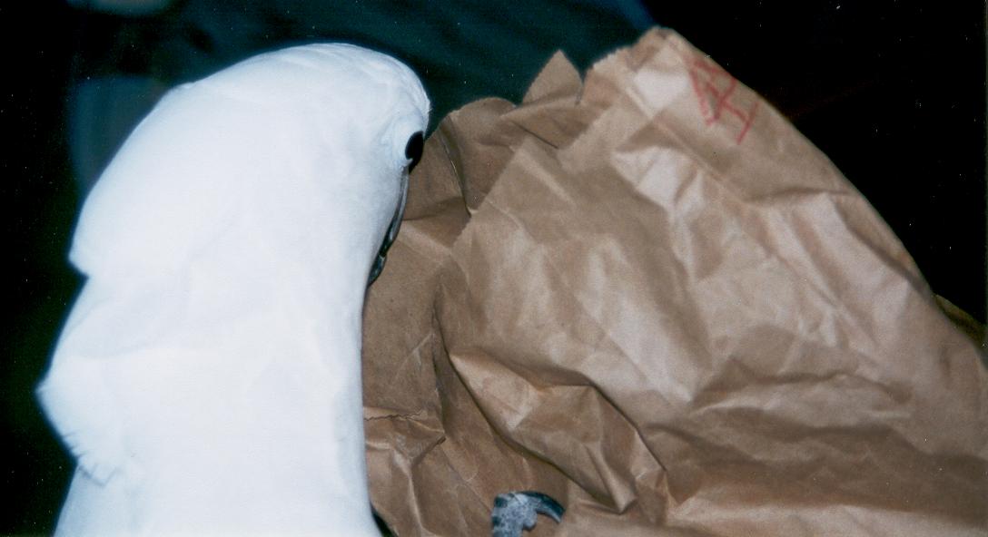 This bag needs checking