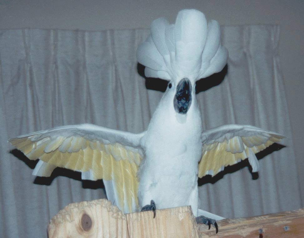 Turn the lights back on!!